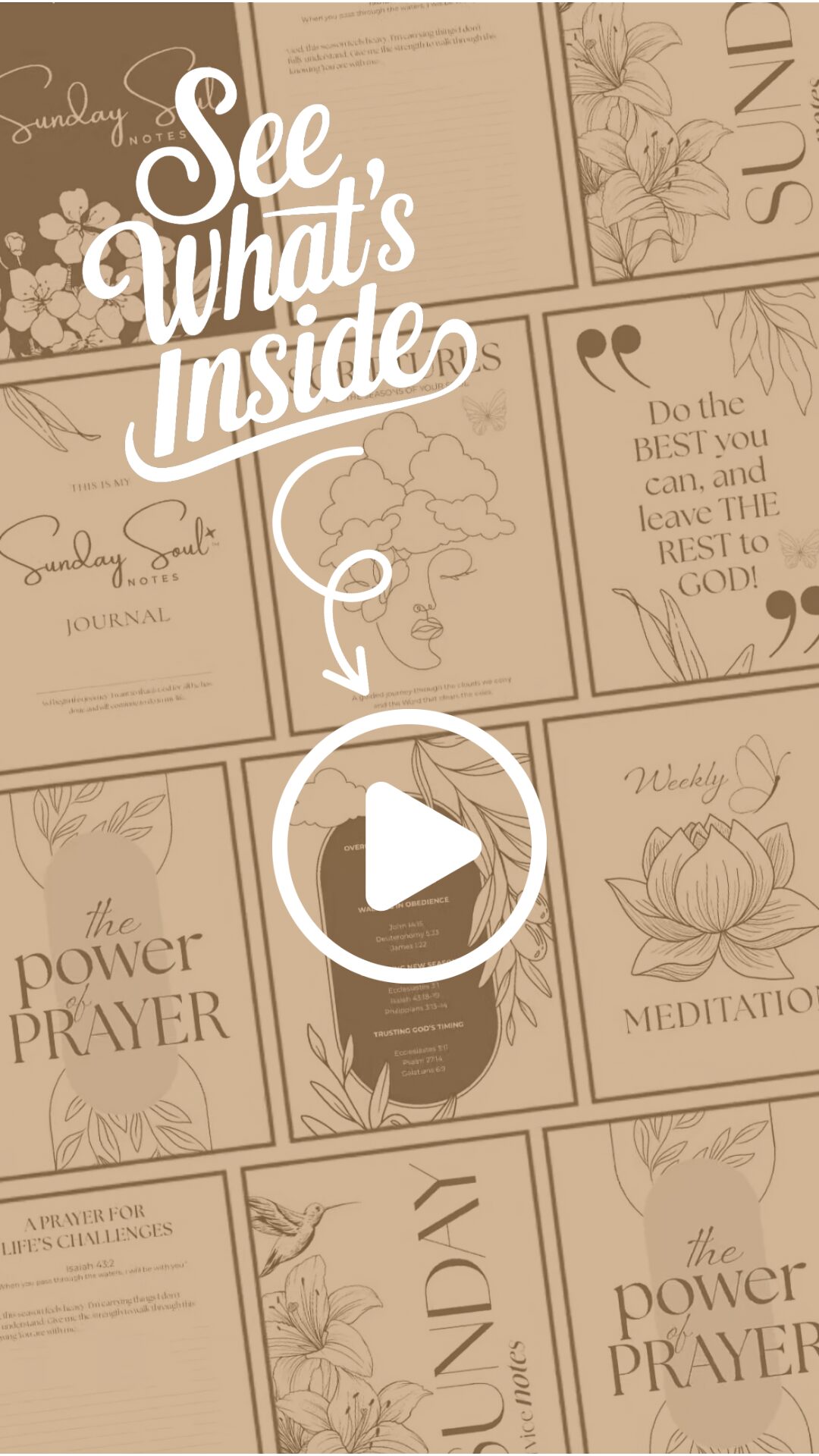 Whats Inside